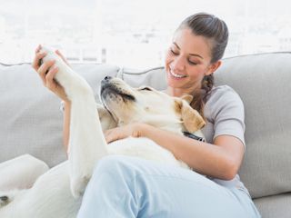 Pies w naszym domu – jak utrzymać porządek i higienę?
