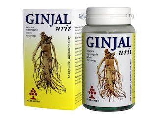 Ginjal Urit – żeby zdrowy był nasz układ moczowy