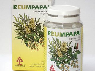 Suplement diety Reumpapai na stawy i mięśnie.