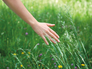 Naturalna linia produktów